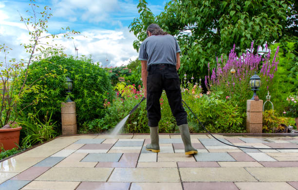 Best Fence Cleaning  in Fresno, TX