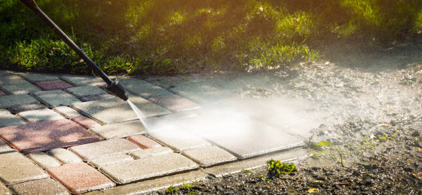 Best Solar Panel Cleaning  in Fresno, TX